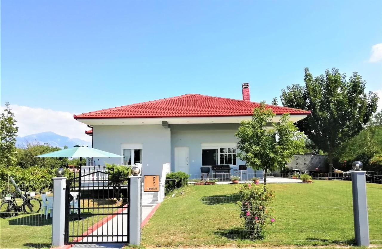 Deppy'S House Κοντά Στα Λουτρά Πόζαρ Leilighet Chrysi Eksteriør bilde
