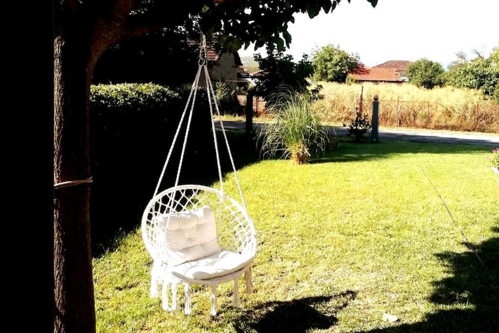 Deppy'S House Κοντά Στα Λουτρά Πόζαρ Leilighet Chrysi Eksteriør bilde