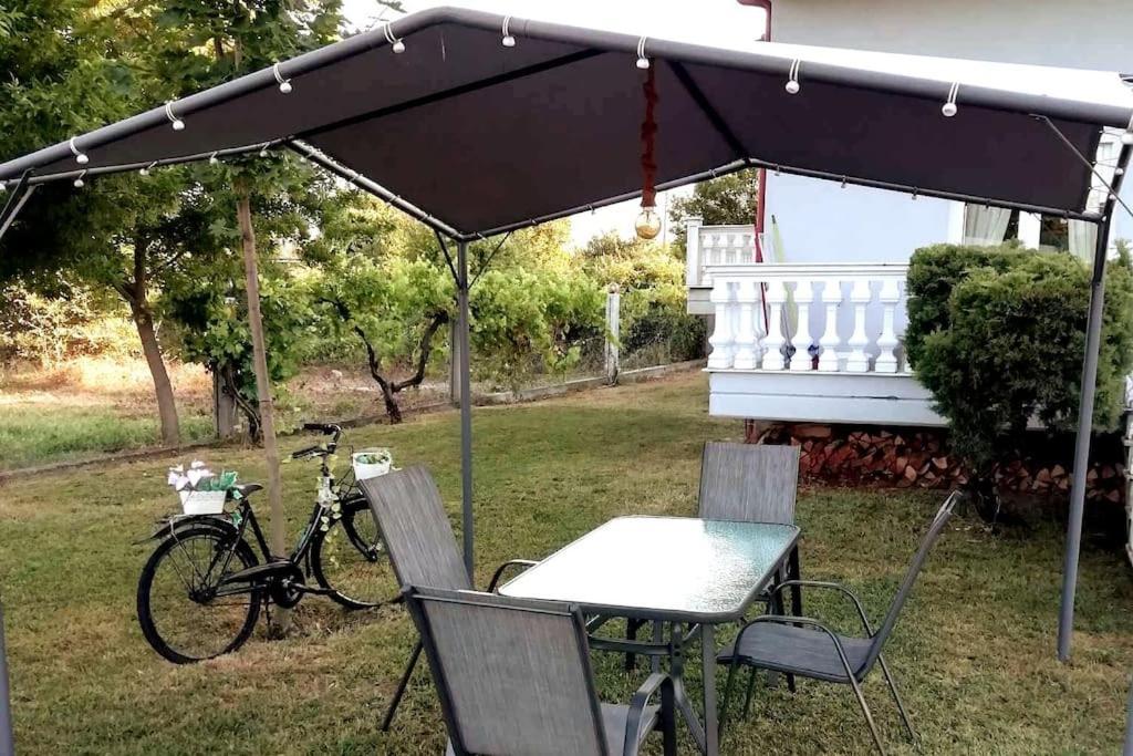 Deppy'S House Κοντά Στα Λουτρά Πόζαρ Leilighet Chrysi Eksteriør bilde